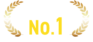 実績数 No.1